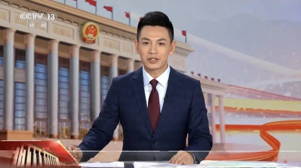 两会提问的央视主持人康辉严於信张韬沉稳王音棋不输前辈