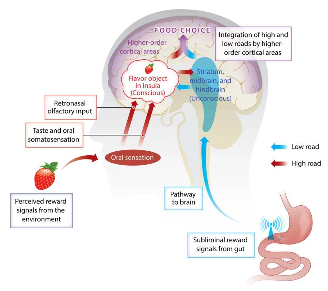 欲望的终极谜题