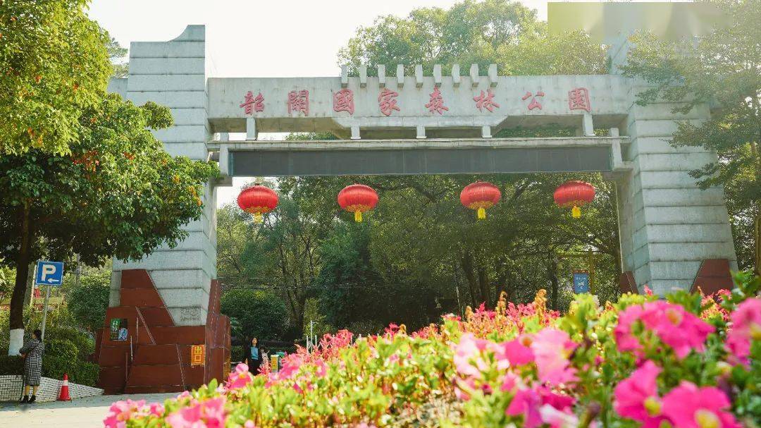 公园_美景_桃花