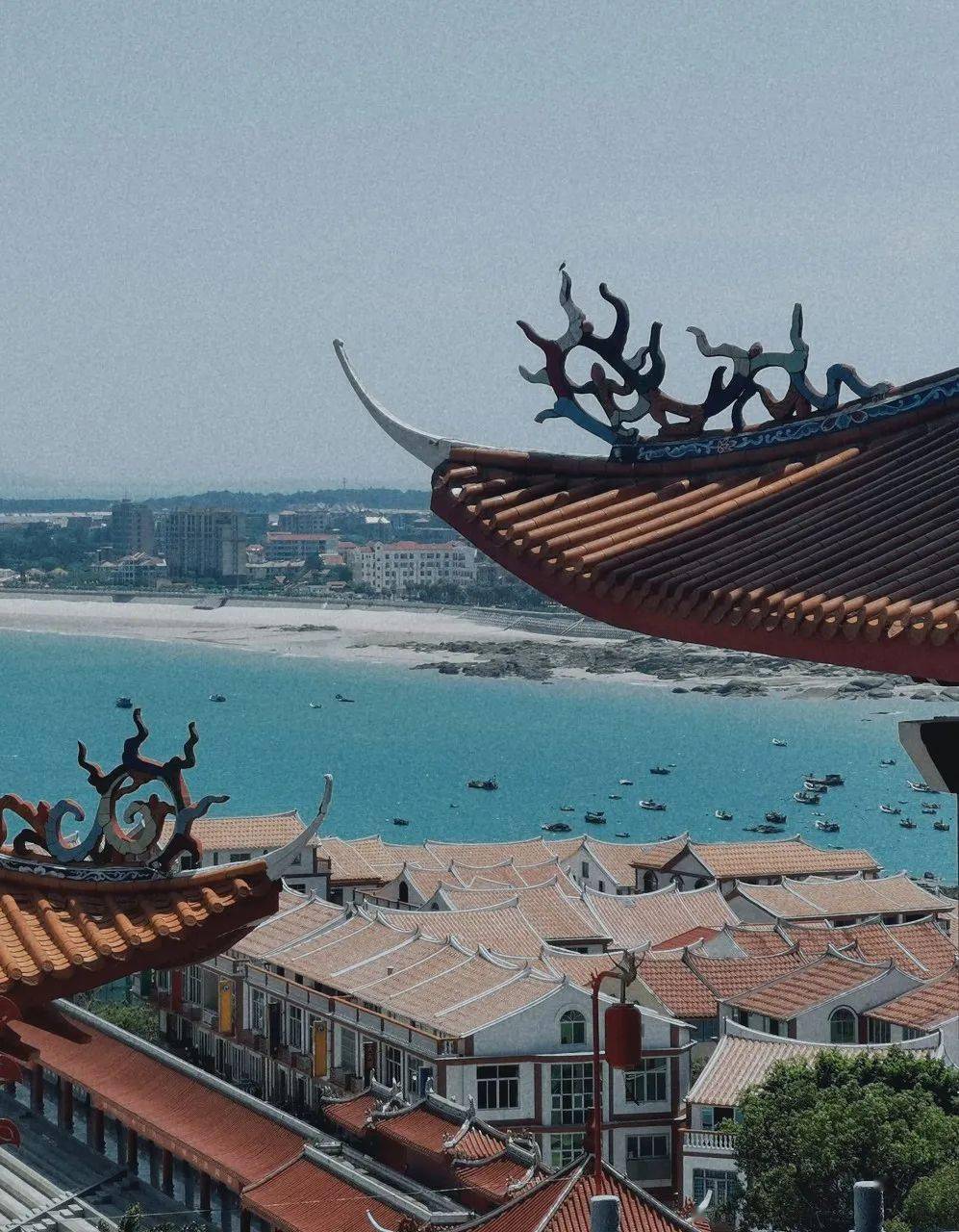 莆田_被称为_樱花