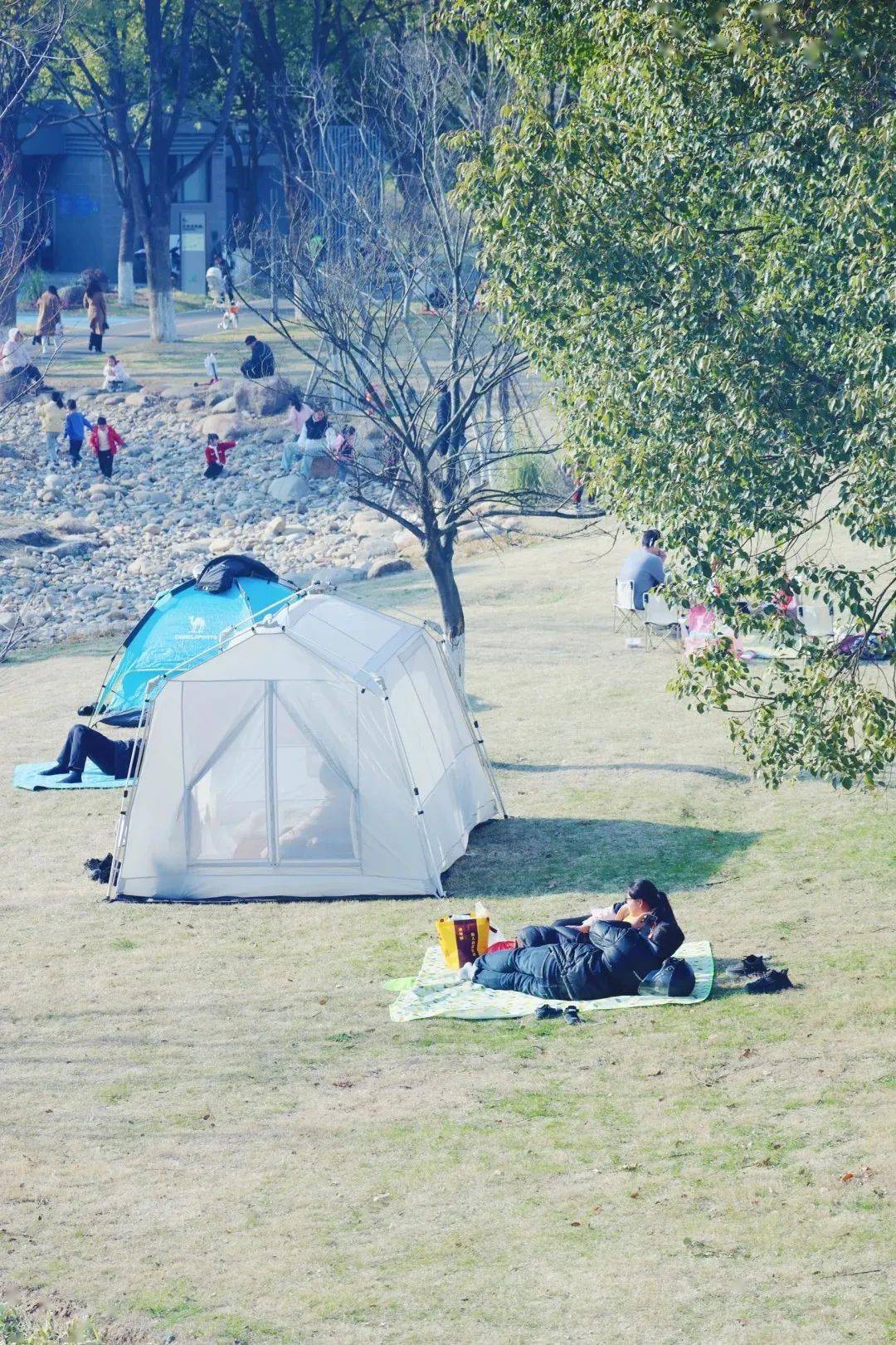 这个免费公园突然大热