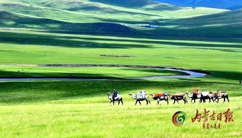 处处是一望无垠的辽阔天地……科尔沁草原乌拉盖草原有呼伦贝尔草原