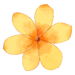 momentsinfebruary丨shanghaidailyjingannews