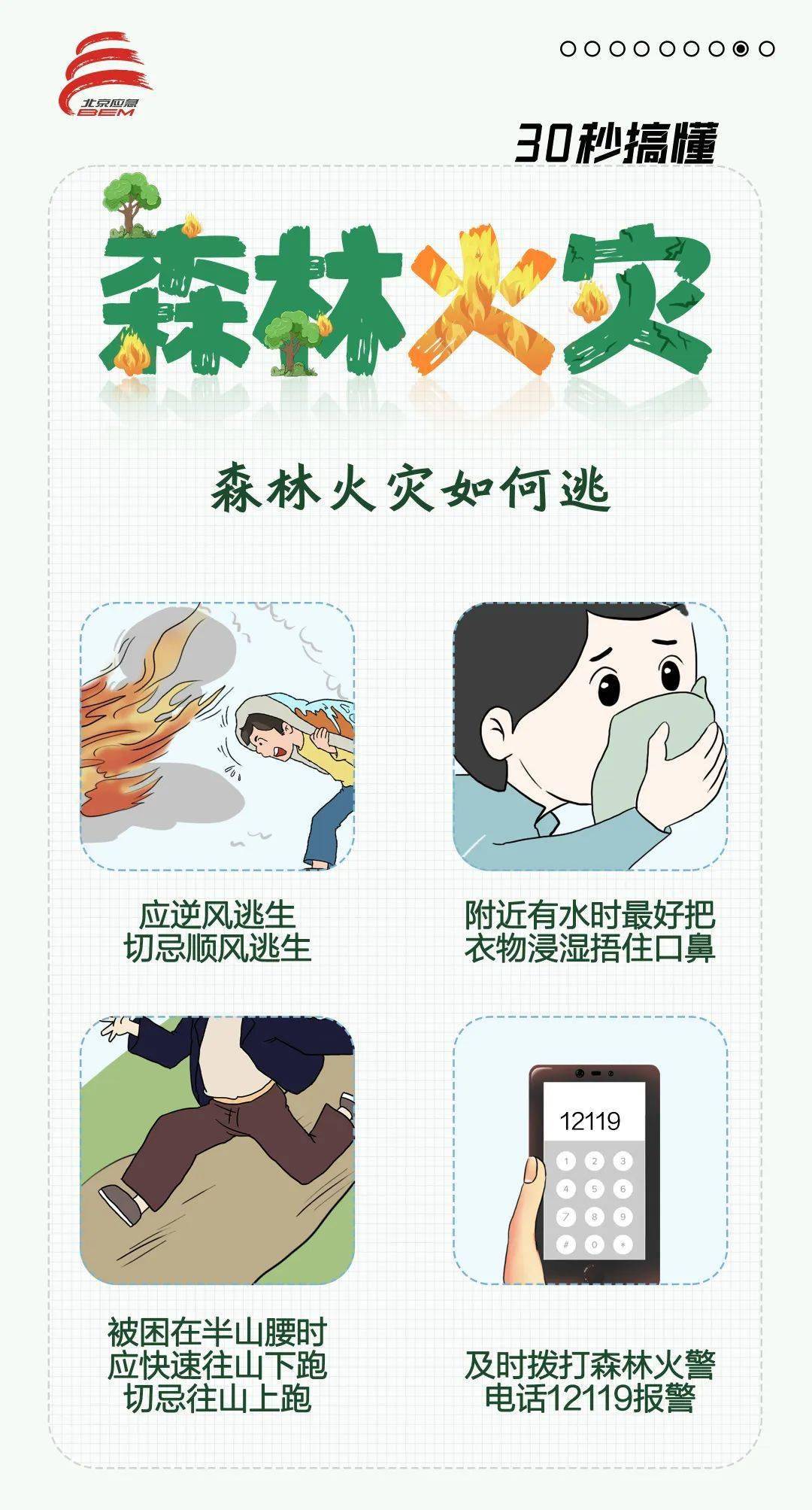 今天植树节点击查收一份森林防火小知识