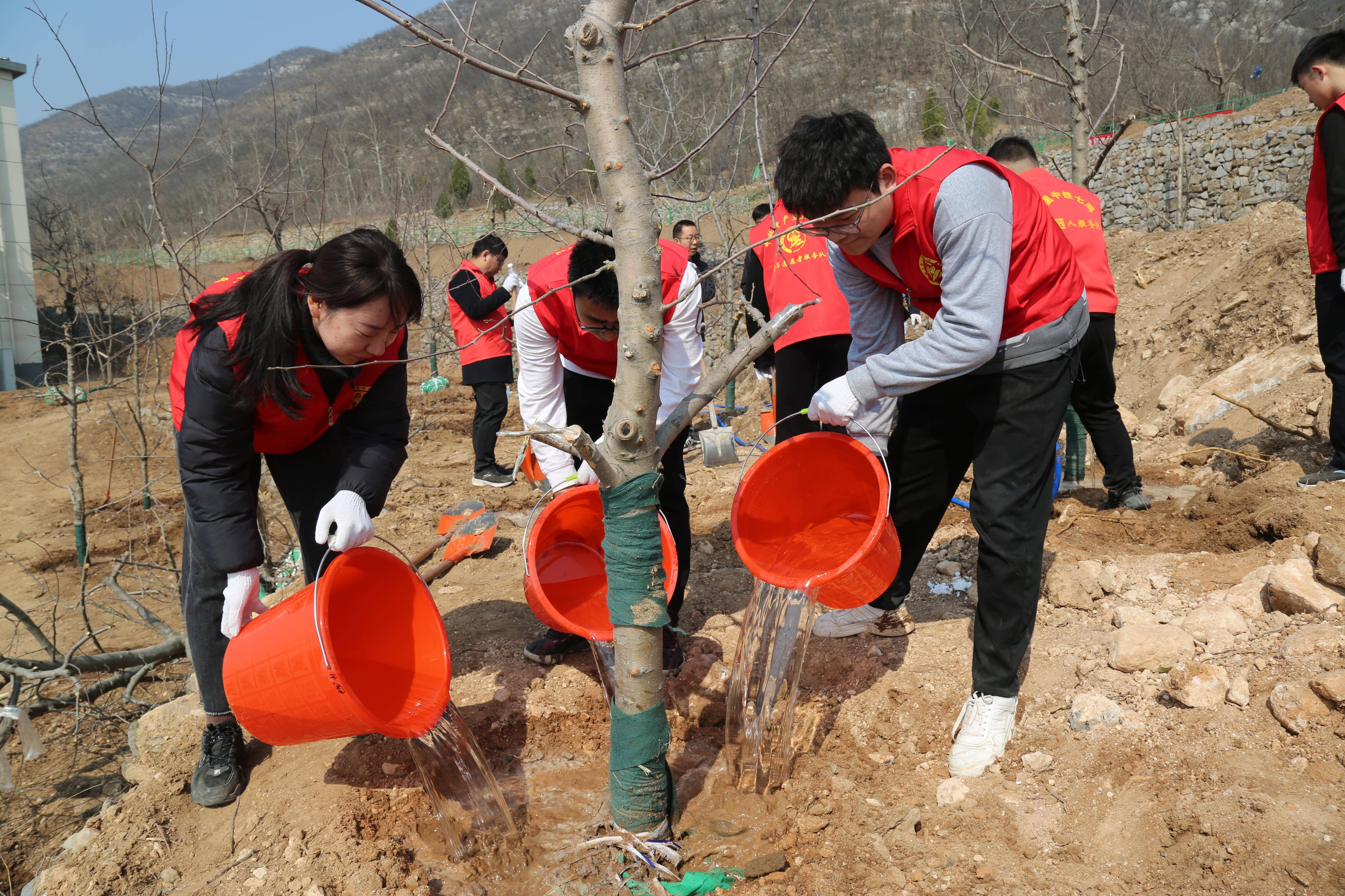 植树节活动延伸图片