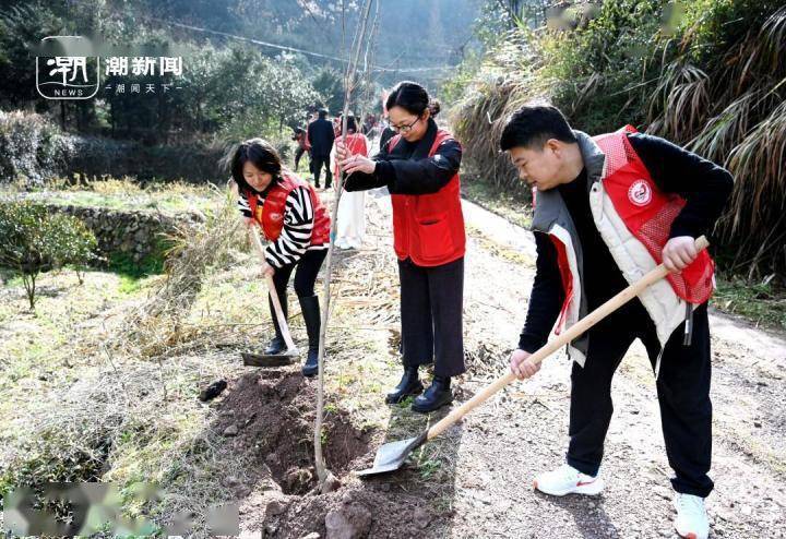 3月12日,长兴县夹浦镇开展"大手牵小手 植树造绿荫"活动,该镇中心小学