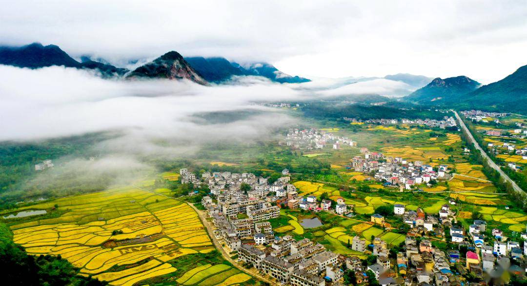 最高奖金6000元!庐山摄影比赛来袭!_乡村旅游_作品_示范带