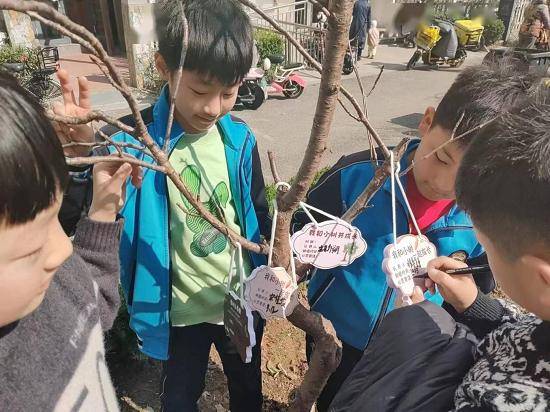 小手牵大手,共建绿色家园——临沂三河口小学开展植树节活动_小树