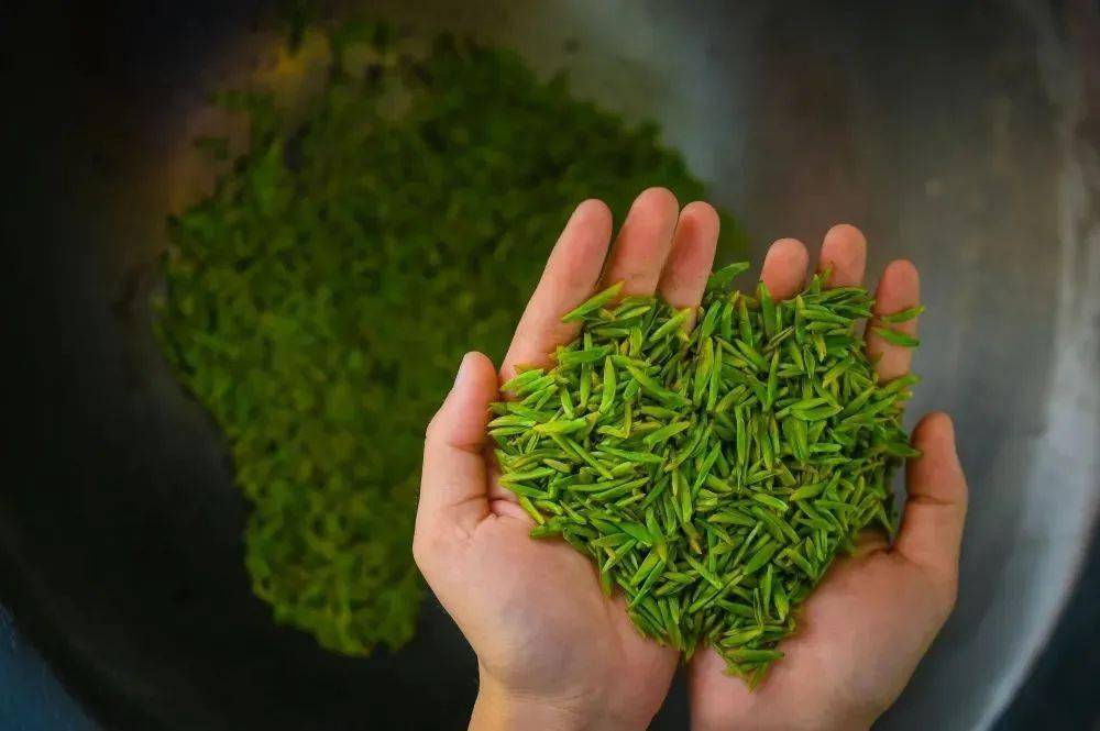 采22茶22去22 綦江春日限定美景,不容错过哟~_新农村_石角镇