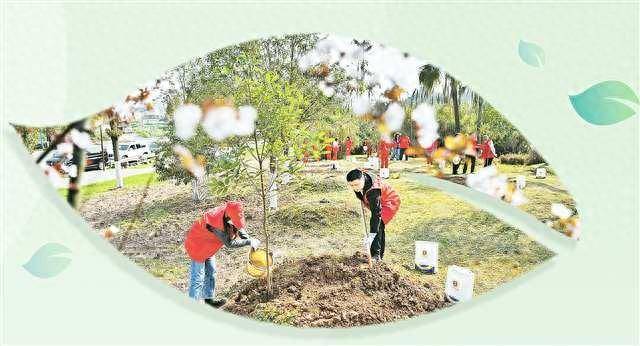 巴渝处处添新绿探访重庆植树点新变化