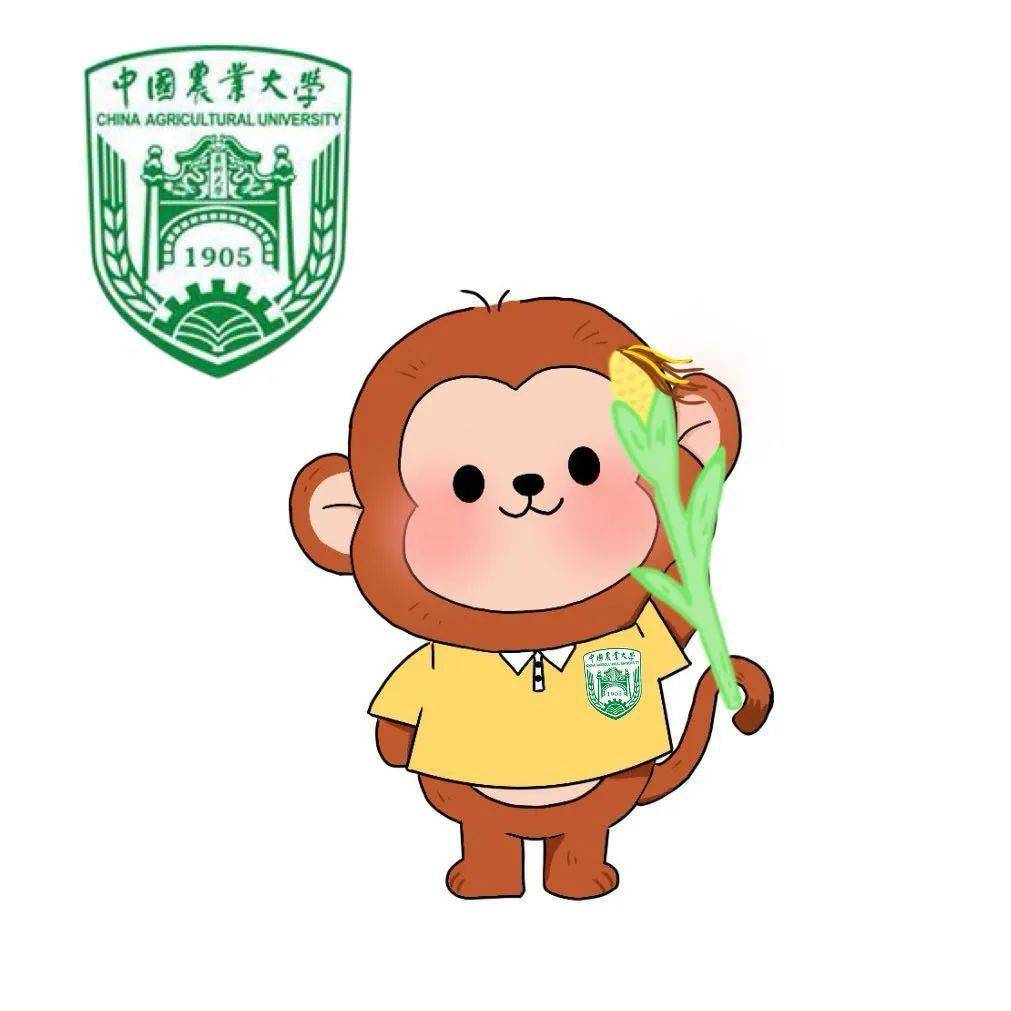 孜孜不倦贵在坚持中国农业大学2024寒假薪火相传活动总结6