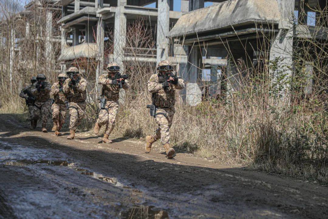 实战标准锤炼反恐利刃