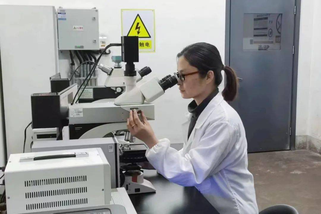 样对仪器进行监控,对人员手工分析和不同仪器分析进行对比,与中阳钢厂