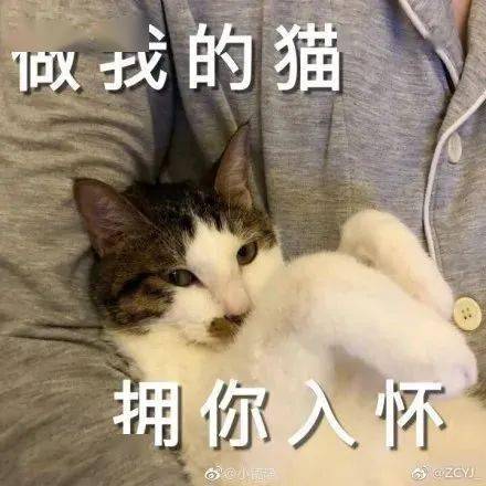 想要更多表情包的,后台回复:****表情包搬运大使最佳损友:告诉我哪家