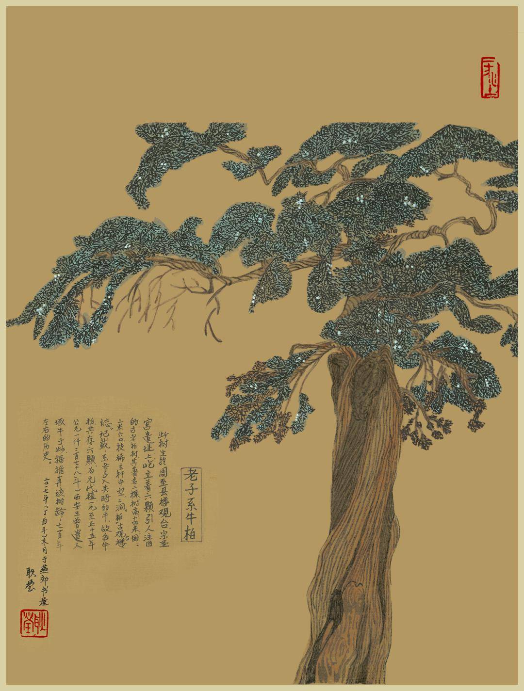 树的脾气精彩于勃勃生机之间体现在默默守望之姿树木也是树人自有其"