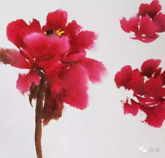 国画基础教程:写意牡丹的画法(附视频教程)_花瓣_笔尖_变化