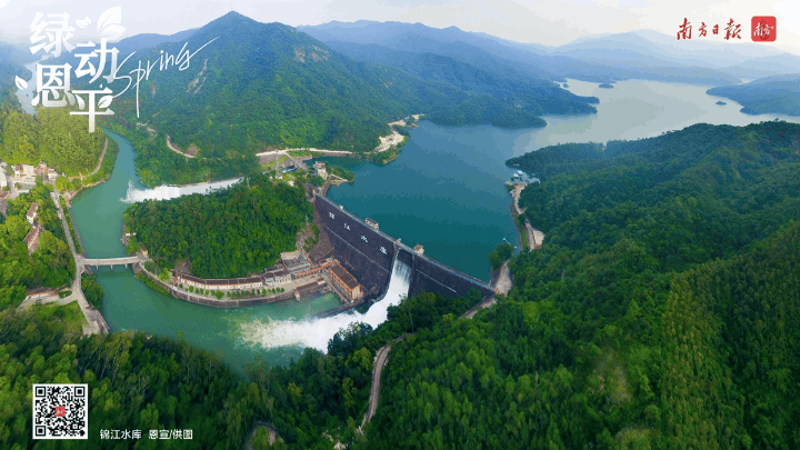 绿绿绿绿绿!恩平,满屏"绿"动_南方_张婧_青峦