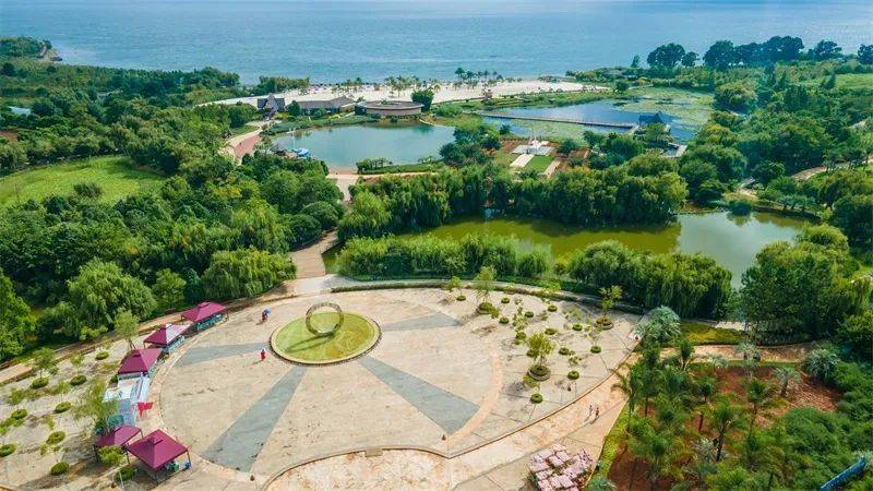 漫步其中,仿佛置身于真正的阳光海岸