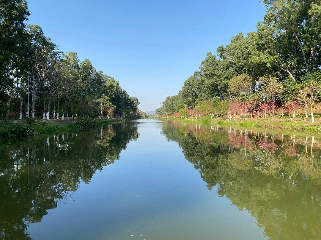 十里桃花浪漫启幕,一同"桃"醉在翔安的春天里_蔡塘_风景画_地址