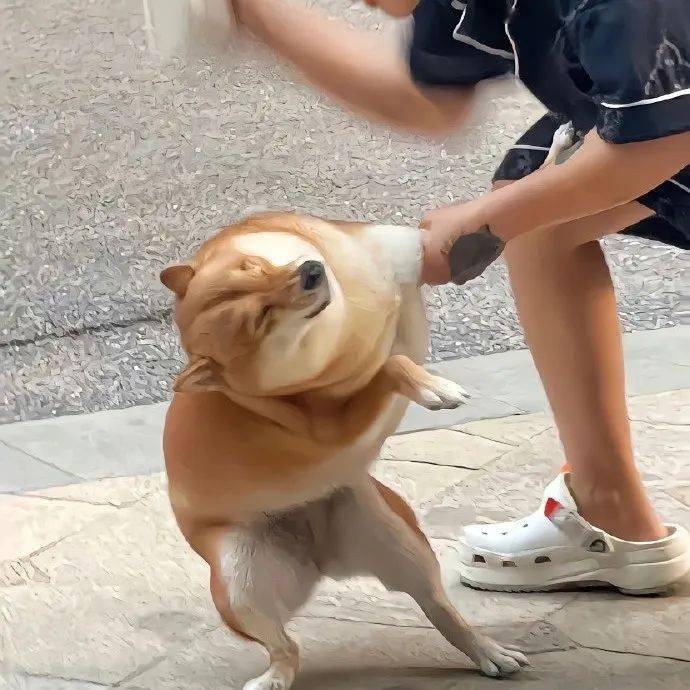 沙雕头像一看就不正常的头像