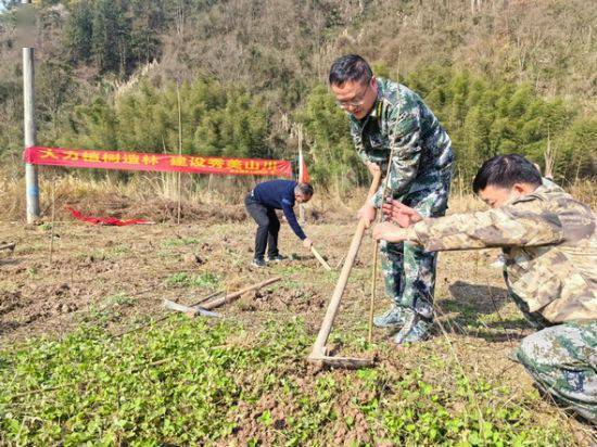 湖南沅陵:发动种植中药材 完美电竞生态经济双丰收(图2)