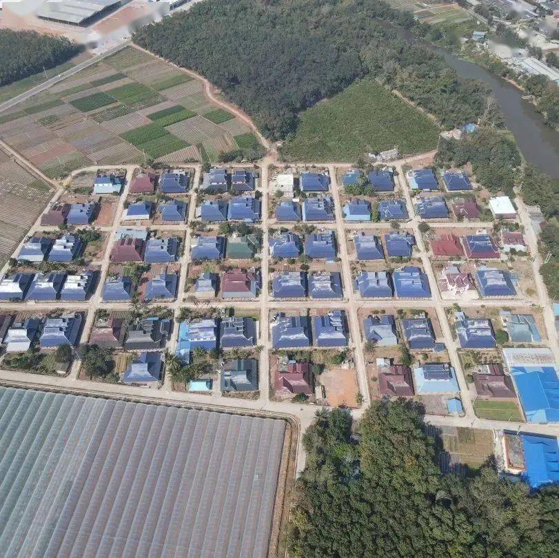 乡村振兴新画卷 | 勐捧镇冷链物流中心:农市互惠畅通兴边富民"快车道"