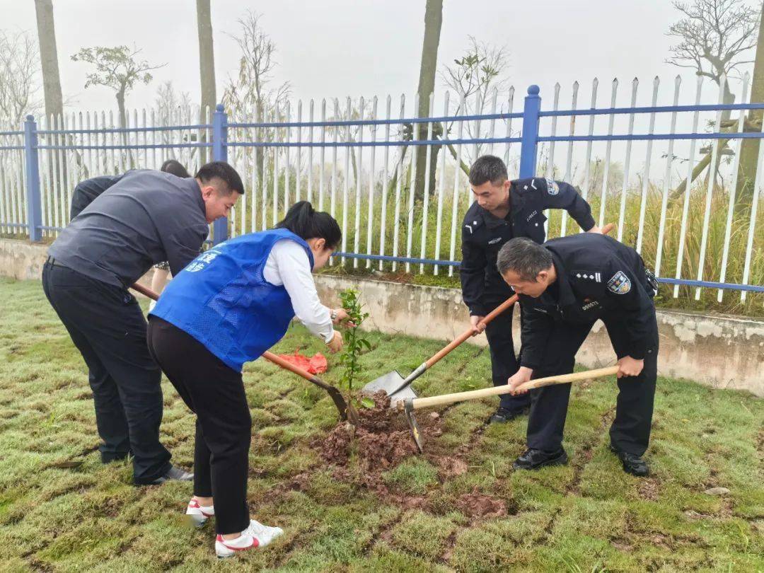 玉林公安蓝为绿色充植一起种春天