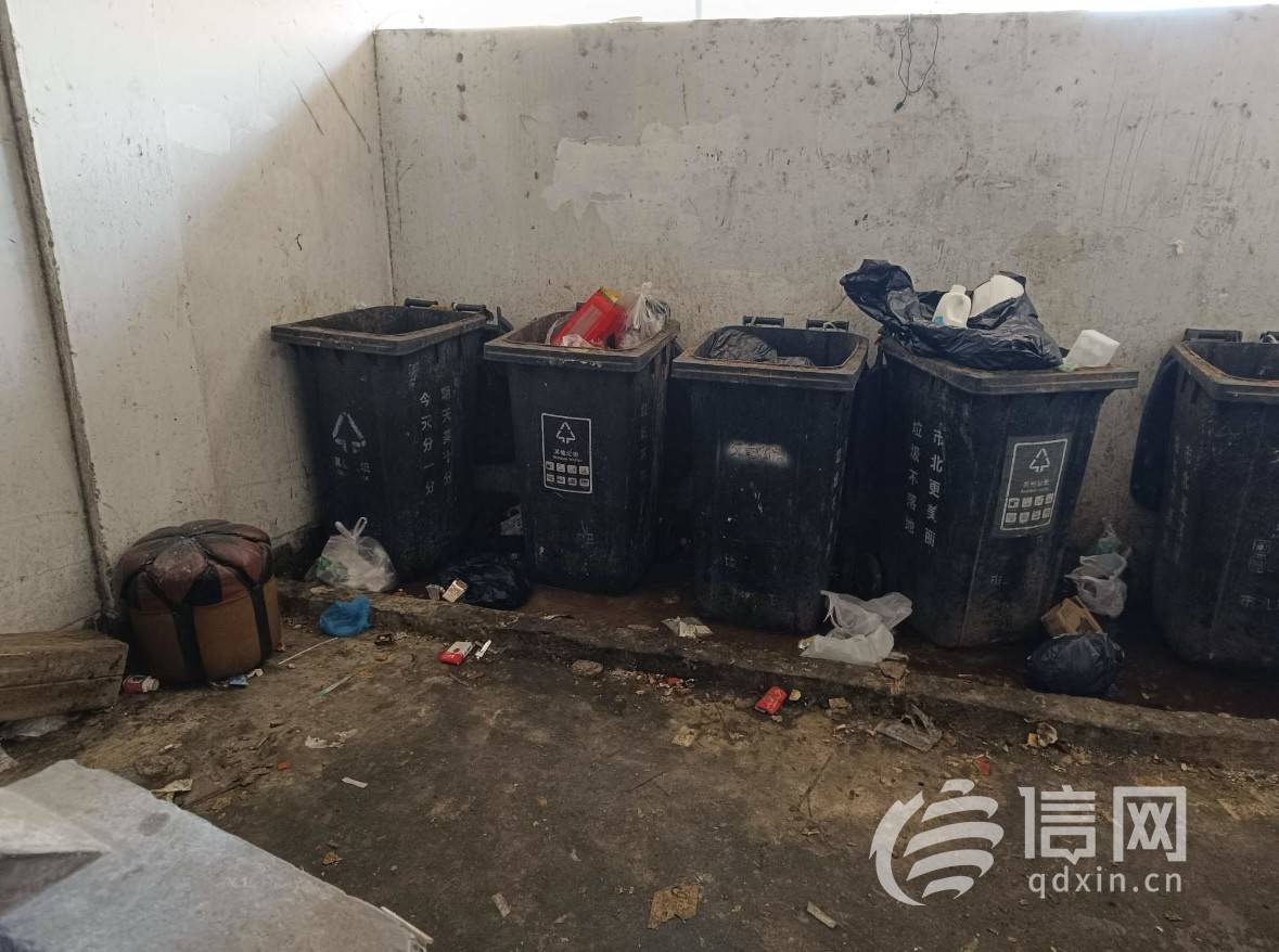 文馨苑北侧一楼道垃圾成堆 镇江路街道将对接物业尽快处理_生活_问题_小区