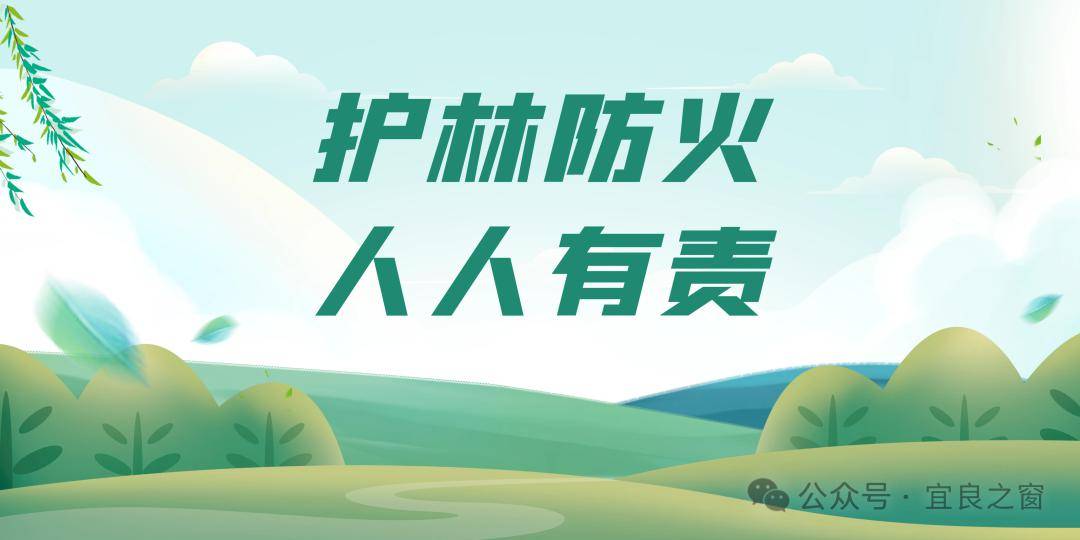 森林防火判刑4年他一个动作造成2800多万损失