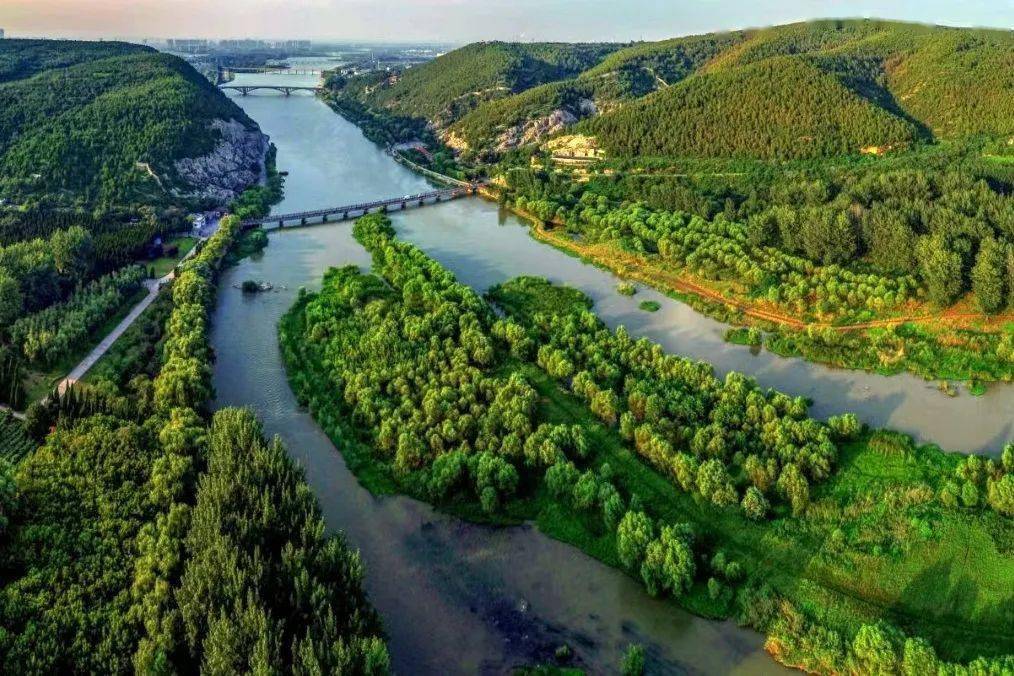 这份市区公交赏花指南送给您_公交站_线路_洛阳