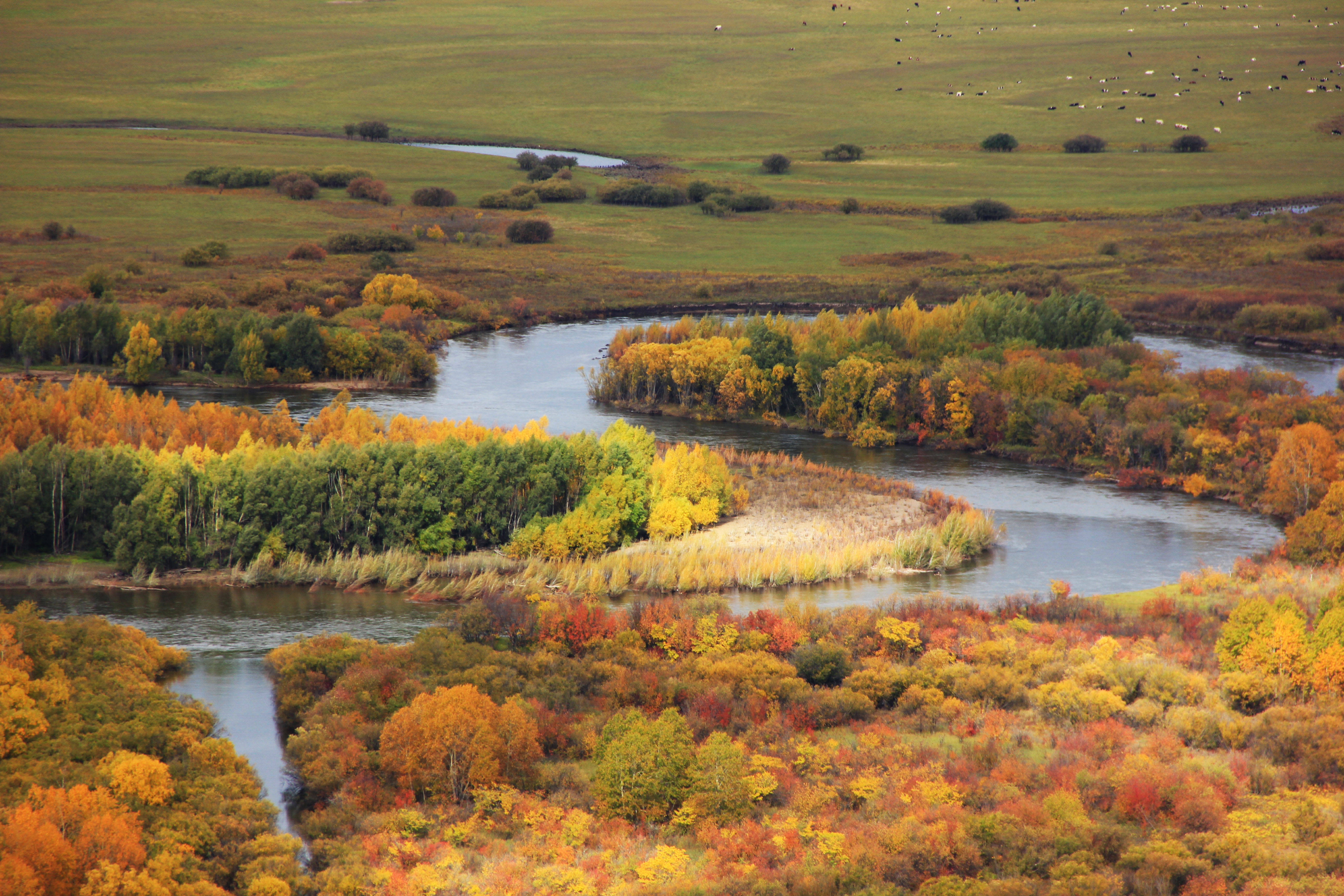 这是2022年9月17日拍摄的额尔古纳湿地风光.