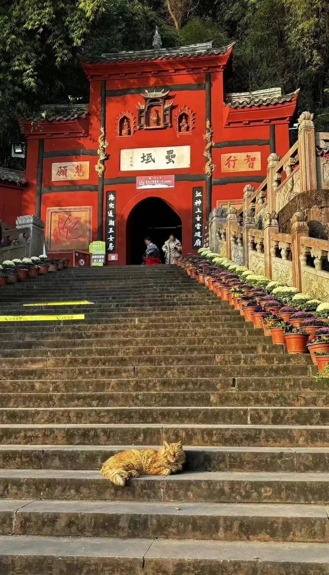 乌尤寺#乐山大佛景区集聚了乐山山水人文景观的精华,是世界文化与