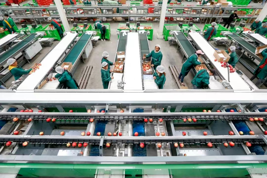 2023年,全县建成投产农业加工企业57家,通过扶持企业拓展市场,威宁