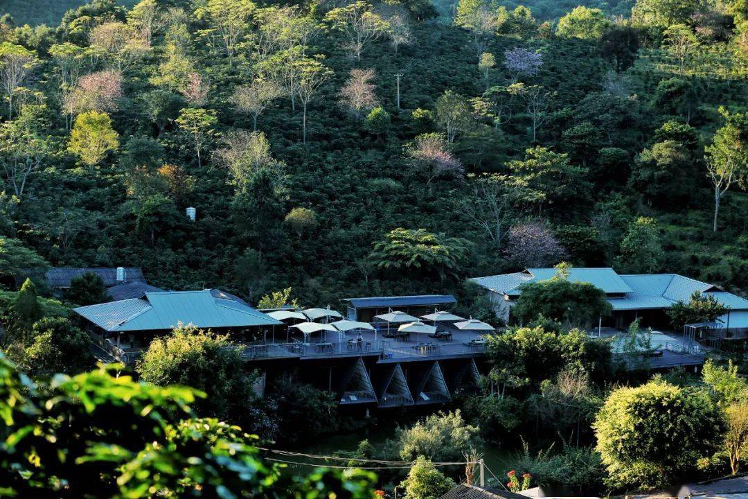 云南新一批精品咖啡庄园,你打卡了没?