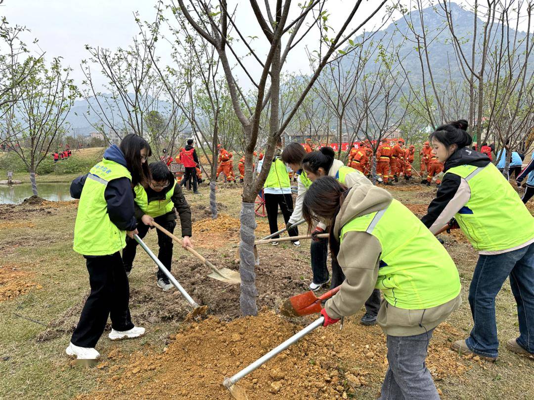 植树护绿青年当行闽侯团县委开展青年植树活动