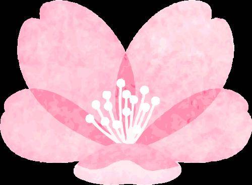 倒计时1天经典版长恨歌邀您明日入宫赏景