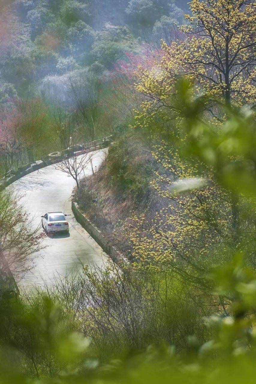 徒步山野 | 三月待春来_山谷_景象_大地