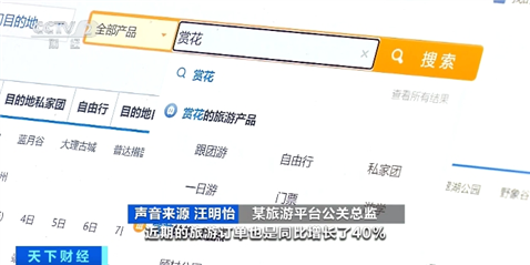 赏花景区门票卖爆了日均预订量增超50这些地方成最受欢迎目的地