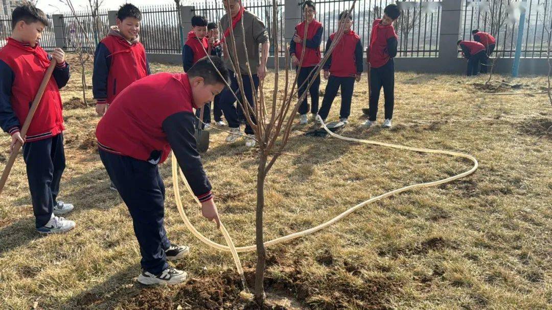 植树节学生植树照片图片