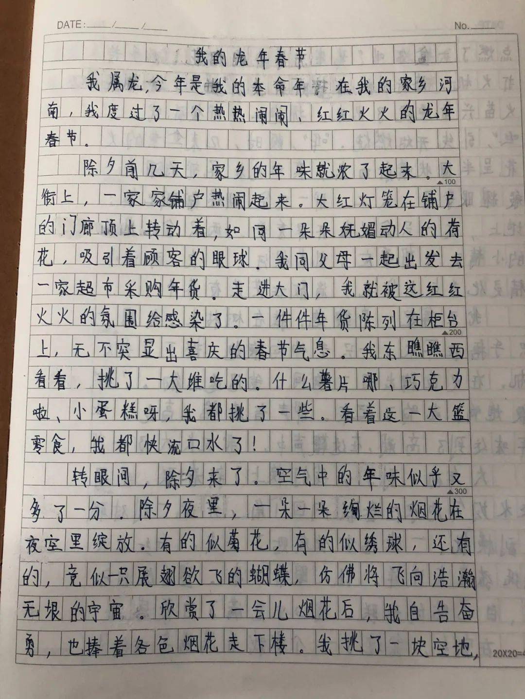 寒假见闻作文手写图片