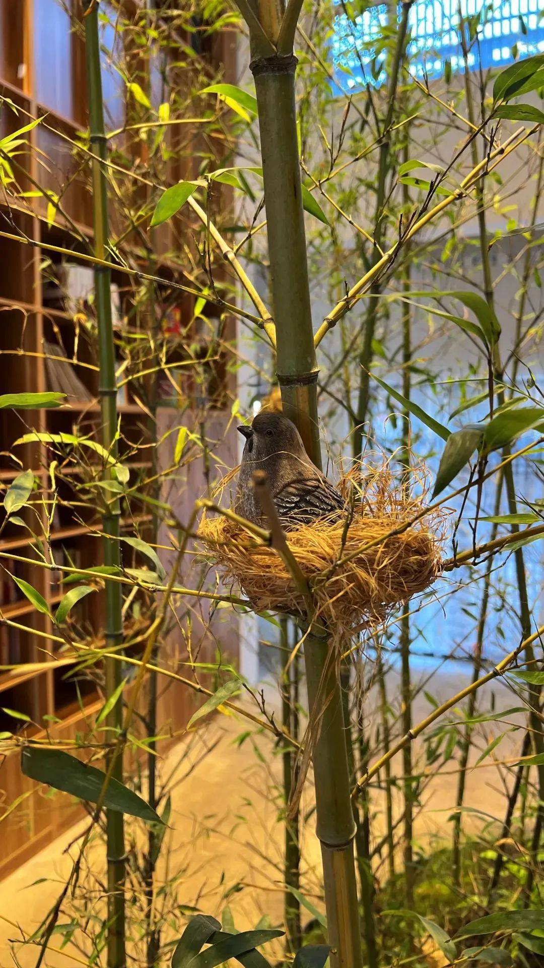 莲花山巴图鲁乐园将于4月恢复开园!