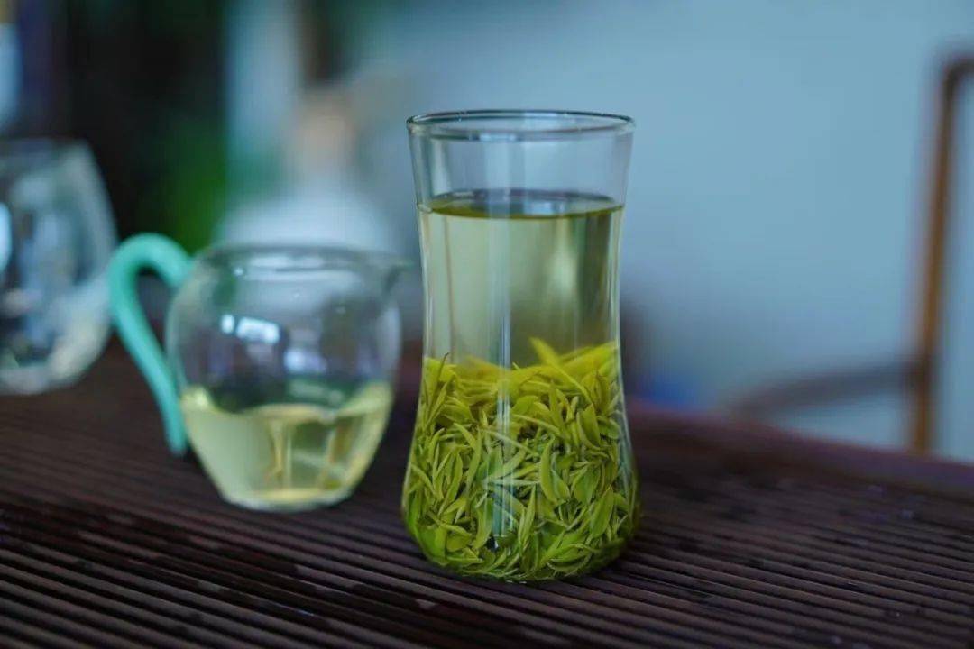 图为2023年的信阳毛尖"一芽一叶"鲜叶 资料图▼什么时候能喝上2024年