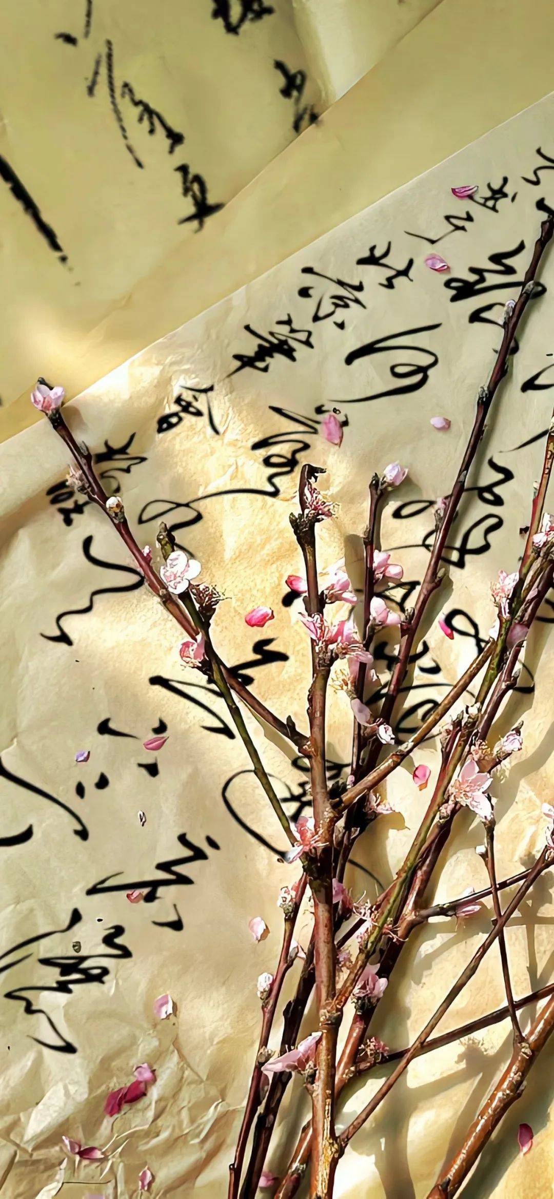 壁纸|春日小清新 锁屏壁纸_头像_宝宝_表情