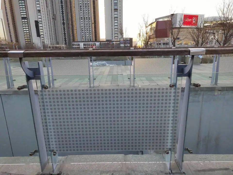 透明玻璃秒变飞鸟杀手?太原长风商务区玻璃护栏造成几十只鸟类伤亡!