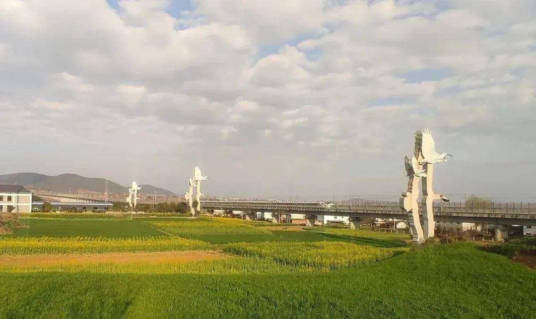 直击现场2024最美油菜花海主会场洋县各个观花点旅游环线情况播报