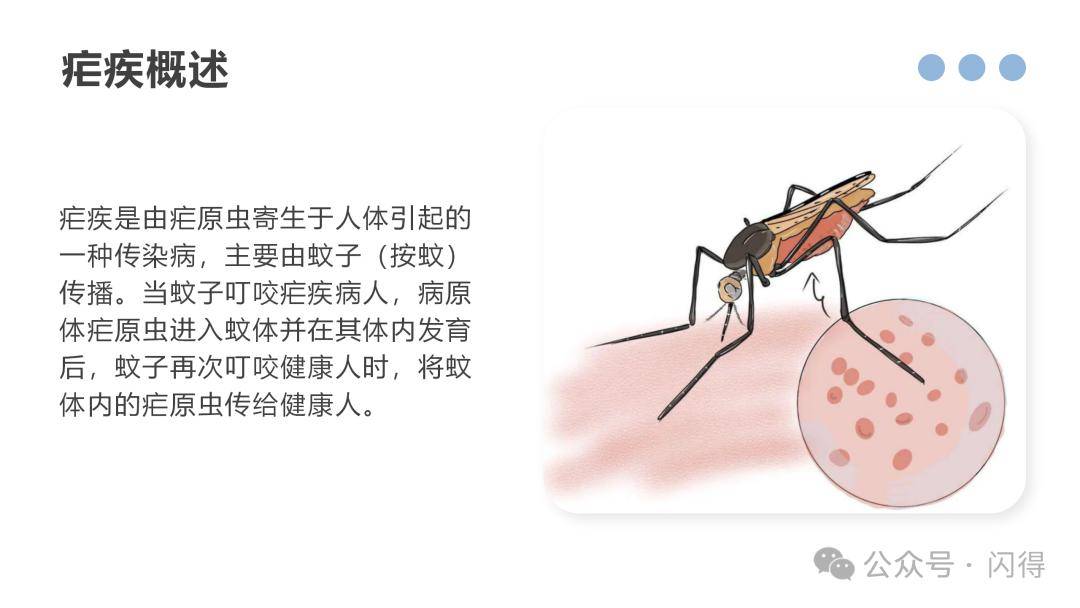 ppt1例疟疾患者的个案护理