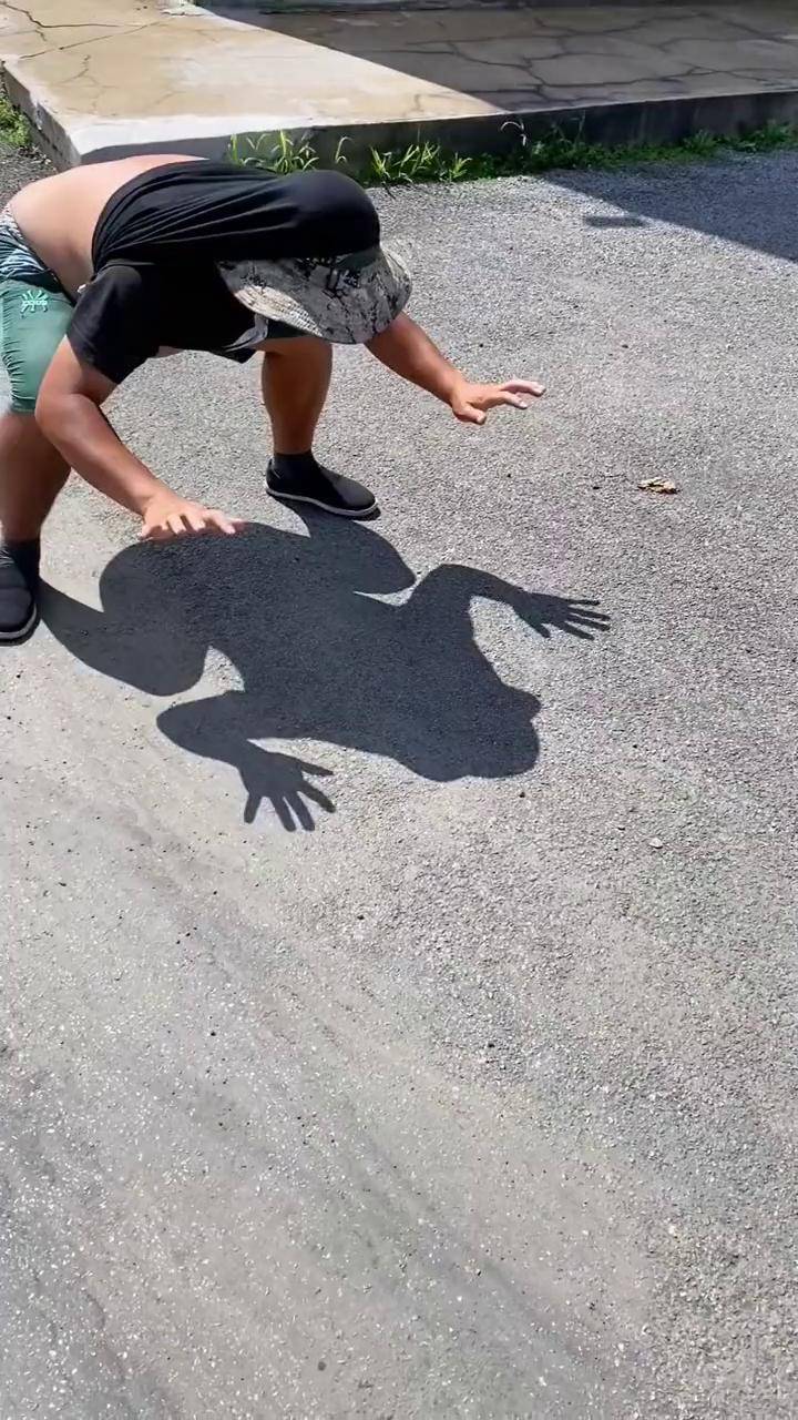 太阳下的影子 青蛙跳