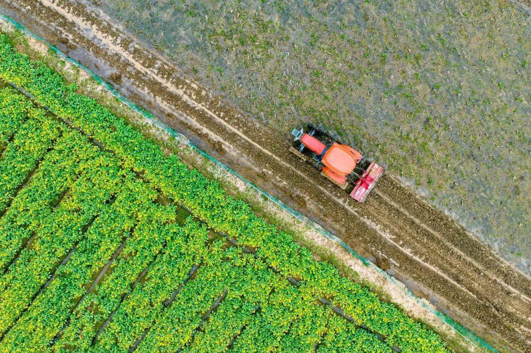 春回大地暖,春耕春播进行时→ | 图瞰风云_摄影_村民_江西省