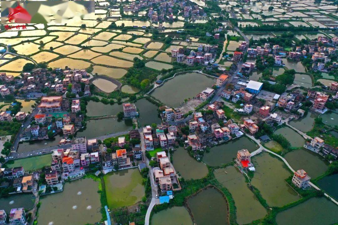 冯荣禧 摄南海区九江镇大谷社区大谷社区地处九江镇东部,下辖7个经济