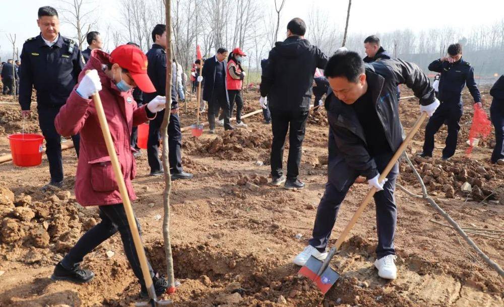 确山春光无限好添绿正当时